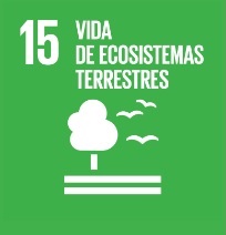 Vida de Ecosistemas Terrestres